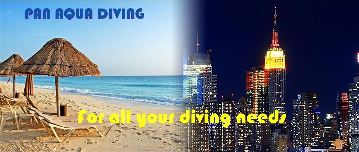 Diving Needs